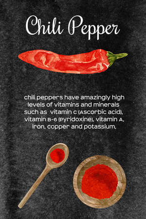Watercolor illustration of fresh and dry red hot chili pepper in wooden bowl and spoon. Kitchen spices and herbs set.の写真素材
