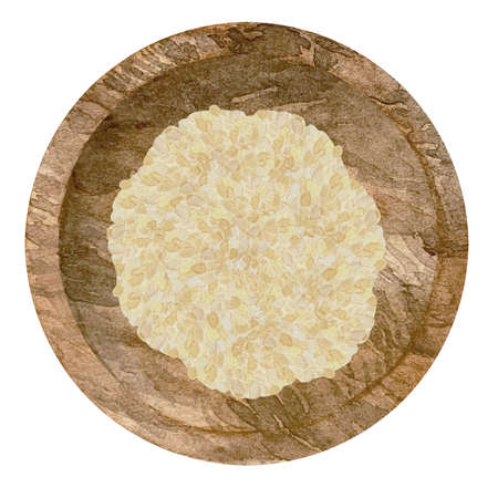 Watercolor illustration of dry garlic in wooden bowl. Kitchen spices and herbs set.の写真素材