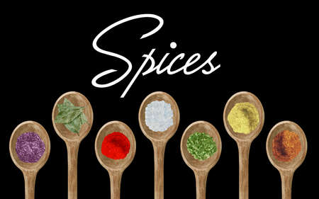 Watercolor hand drawn illustration of dry kitchen spices in wooden spoon: pepper, chili, curcuma, ginger, cardamom, nutmeg on black backgroundの写真素材