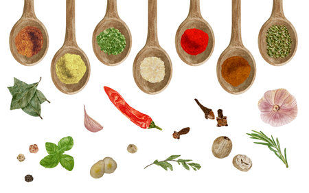 Watercolor hand drawn illustration of dry kitchen spices in wooden spoon: basil, pepper, chili, curcuma, ginger, cardamom, nutmegの写真素材