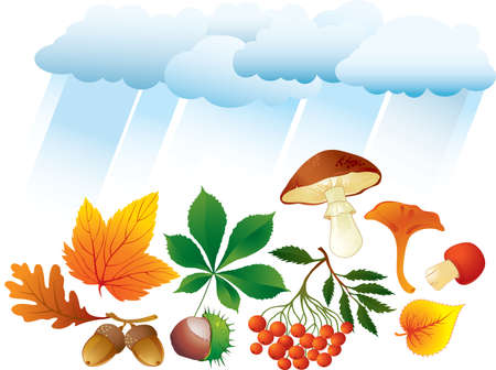 Autumn natural objectsのイラスト素材