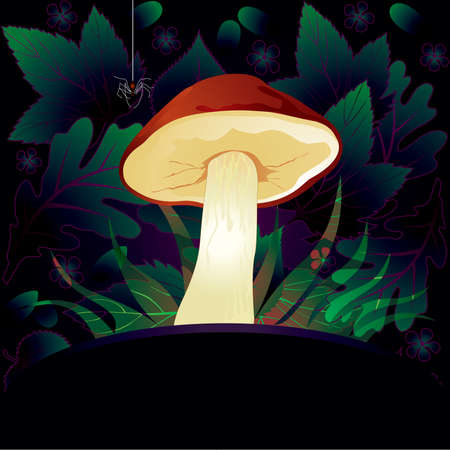 Decorative card with mushroomのイラスト素材