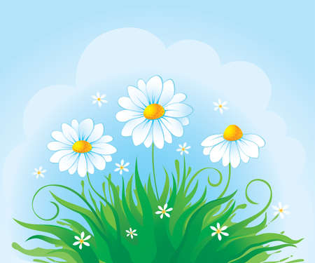 Natural background with daisy のイラスト素材