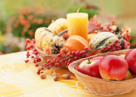 Halloween decor in a autumn gardenの写真素材