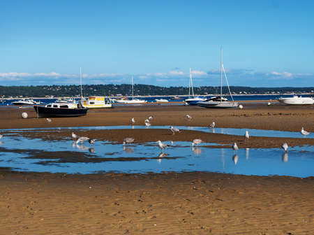 Boats in the BArcachon Bay, Cap-Ferret, Franceの写真素材