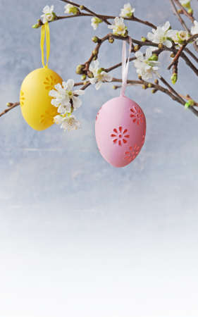 Easter colorful eggs hanging at a blooming branchの写真素材