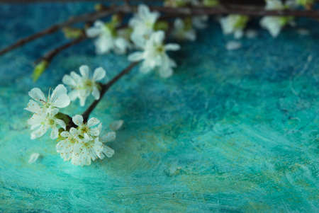Spring Blossom Flowers on blue background. Selective focusの写真素材