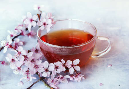 Cup of tea and pink cherry blossom branch on a light backgroundの写真素材