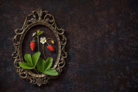 Branch of a strawberry with berries on a wooden old board and vintage frameの写真素材