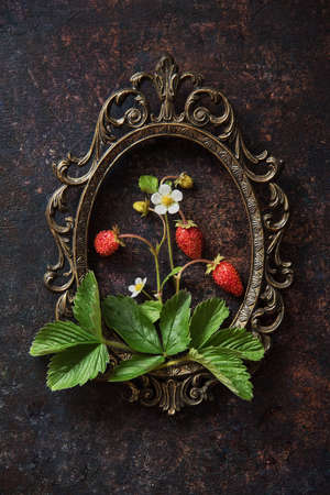 Branch of a strawberry with berries on a wooden old board and vintage frameの写真素材