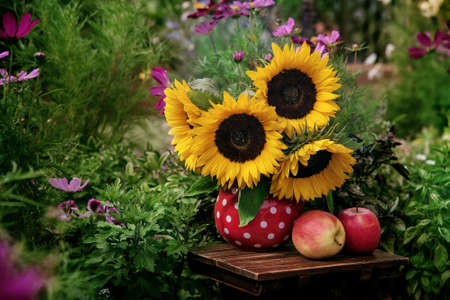 Beautiful flowers in the garden, Sunflowers in the vase and fresh apples