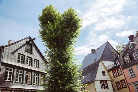 Monschau GERMANY- 7 Jul 2018; a small resort town in the Eifel region of western Germany. heart shape tree opposite the town hallのeditorial素材