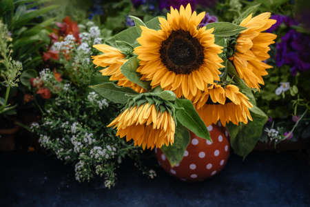Beautiful sunflowers in the vase on the tableの写真素材