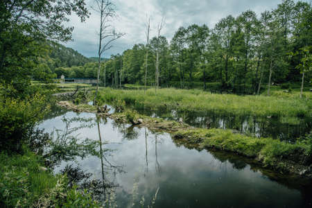 Beautiful landscape the Baleur pond, in Trois-Ponts, Belgian city in the Ardennes, LiÃ¨ge Province, Belgiumの写真素材