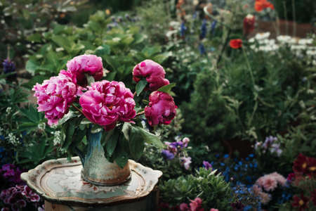 Pink peonies in a vase in the gardenの写真素材