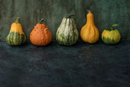Autumn border arrangement of assorted pumpkins, Fall decor with copy space.の写真素材
