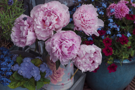 Beautiful peonies flowers in vase, floral decor near houseの写真素材