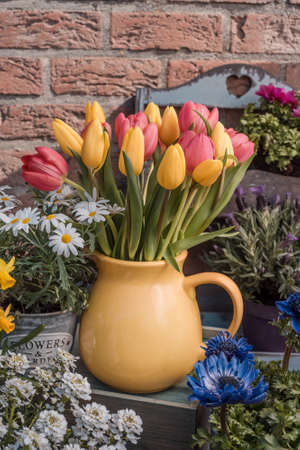 Beautiful multicolored tulips in yellow pot, Outdoor Spring floral decor near houseの写真素材