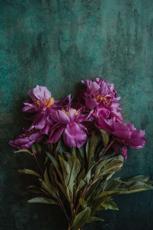 Bouqet pink peonies on rustic background. Place for text congratulations, invitationsの写真素材