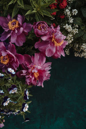 Pink peonies with summer flowers on painted background with place for textの写真素材