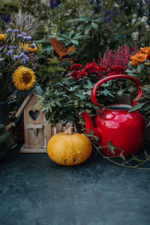 Autumn flowers with pumpkin. Thanksgiving decor in the garden, place for textの写真素材