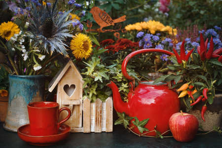 Autumn flowers with cup of tea and teapot, thanksgiving decor in gardenの写真素材