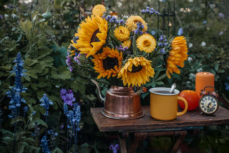 Beautiful sunflowers in pot in the garden with cup of tea and candle, Autumn decor with flowersの写真素材