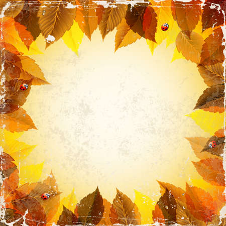 frame with autumn leaves and ladybirds のイラスト素材