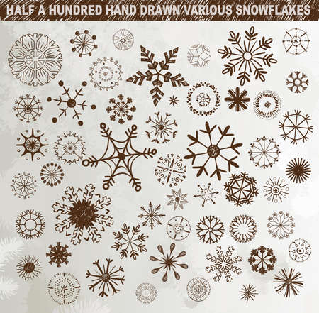 Half a hundred hand drawn various snowflakes のイラスト素材