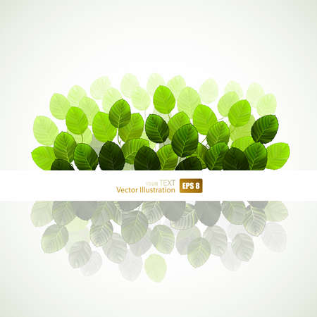 branch of fresh green leaves のイラスト素材