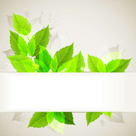 branch with fresh green leavesのイラスト素材