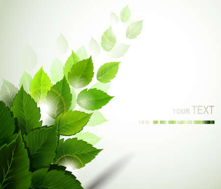 branch with fresh green leaves のイラスト素材