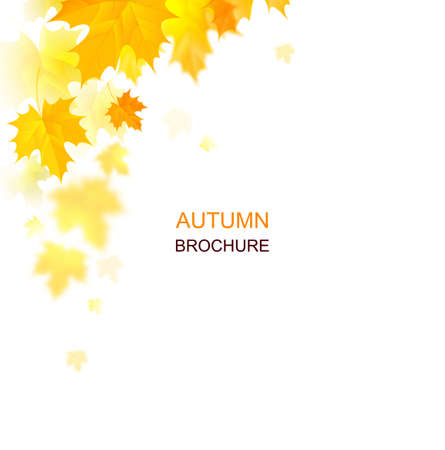 autumn decoration composition with maple leavesのイラスト素材