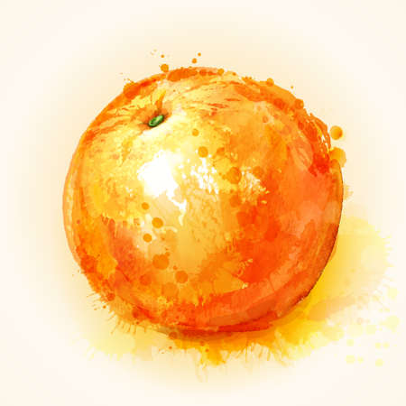 effect ripe orange painted watercolor blotsのイラスト素材