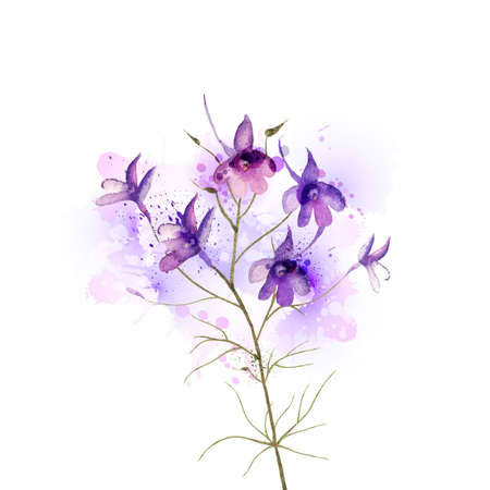 inflorescence larkspur by watercolor Elementsのイラスト素材