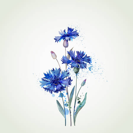 blue cornflowers by watercolor Elementsのイラスト素材