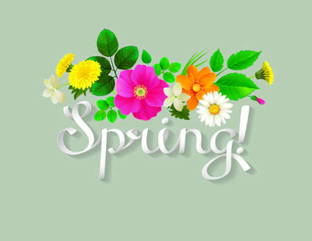 White lettering spring like ribbon. Background decorated by yellow dandelions, chamomiles, pink wild roses, jasmine and fresh green leaves.のイラスト素材