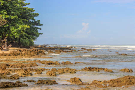 Expanse of coral reef in the ocean with a clear sky.の写真素材