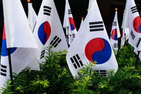 Flags of South Koreaの写真素材