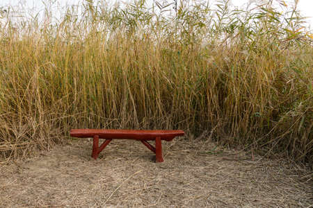 Wooden bench in the parkの写真素材