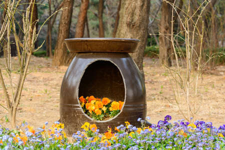 Flowers in the potの写真素材