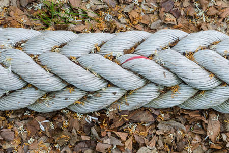 Twisted rope background