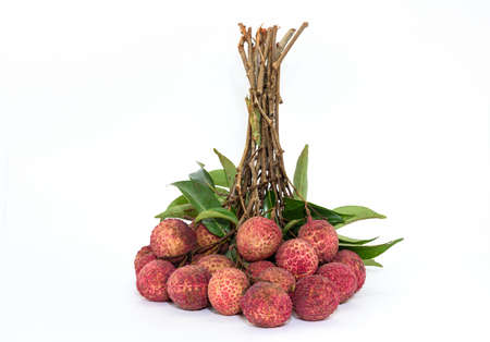 A bunch of lychee isolated on white backgroundの写真素材