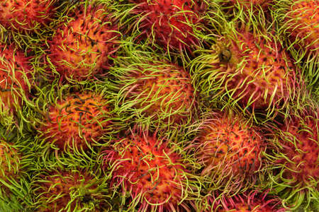 Rambutan fruit backgroundの写真素材