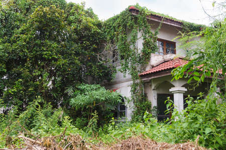 abandoned house in the green environmentの写真素材