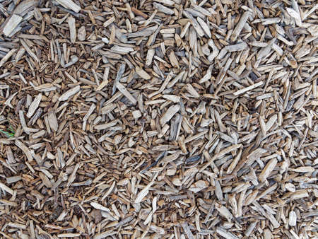 Close up of dried twigs on the ground which can be used as natural background.の写真素材