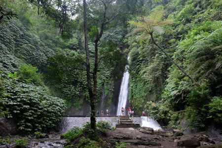 Waterfall in the rain forest, Bali island, Indonesia.の写真素材