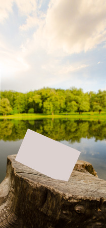 Amazing shot of the blank business card の写真素材
