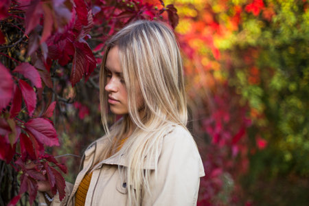 Beautiful woman enjoying autumn. Women portret in autumn.の写真素材
