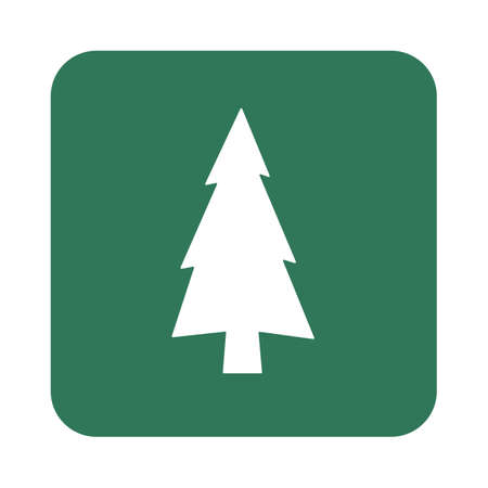 flat icon  Fir Treesのイラスト素材